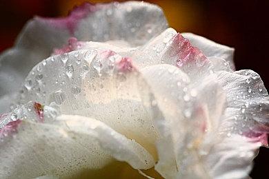 蔡依林化身莉莉丝 《暗黑破坏神4》MV公开